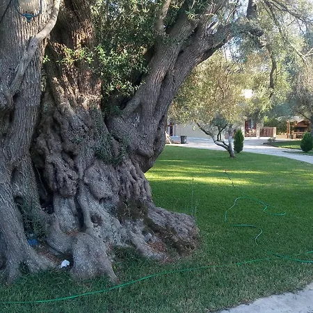 To Agridi * Cukaládesz