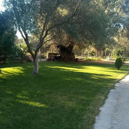 To Agridi * Cukaládesz