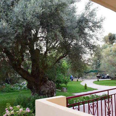 To Agridi Cukaládesz