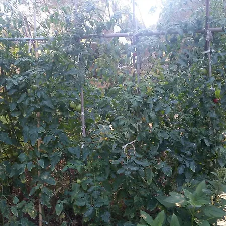 To Agridi Appartement *