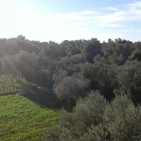 Appartement To Agridi