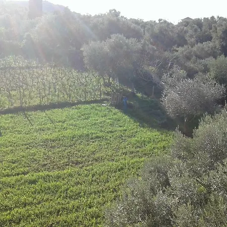 To Agridi Daire